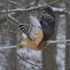 Meet your Posher, Teri